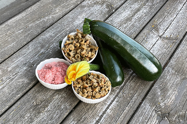 Hühnerbrust-Zucchini